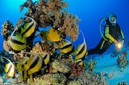 Snorkling