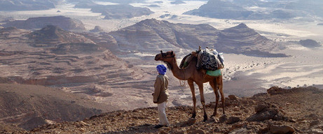 Camel-safari-sinai