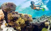 5d565_snorkeling_1