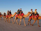 803_camel-riding-1024x768